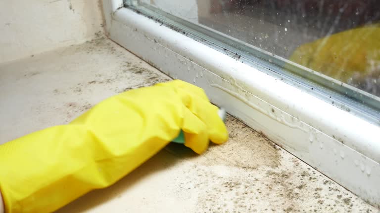 Best Forensic Mold Investigation  in Morrisonvle, IL